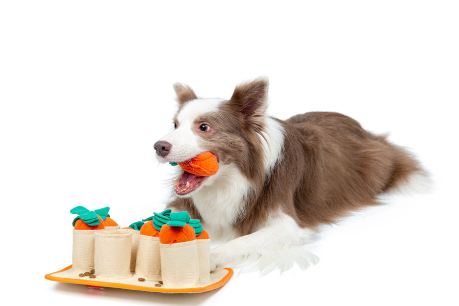 Carrot Pet Dog Snuffle Mat