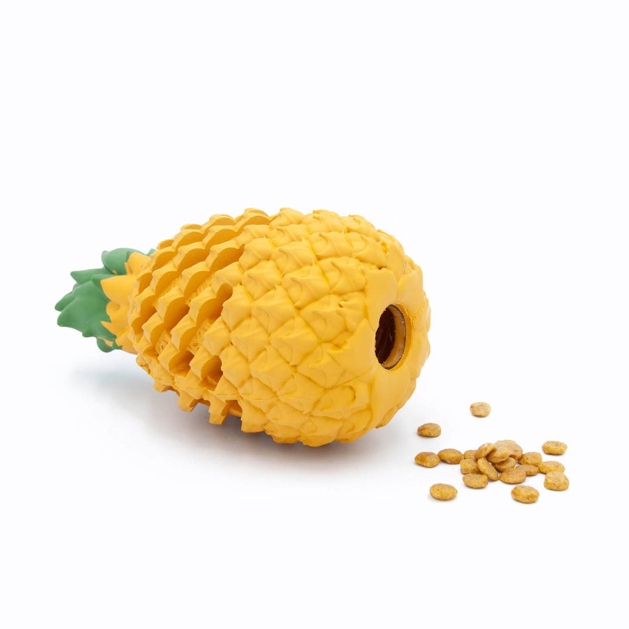Indestructible Pineapple Dog Chew Toy