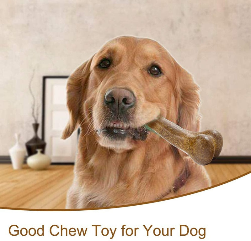 Tough Dog Bone Puppy Toy