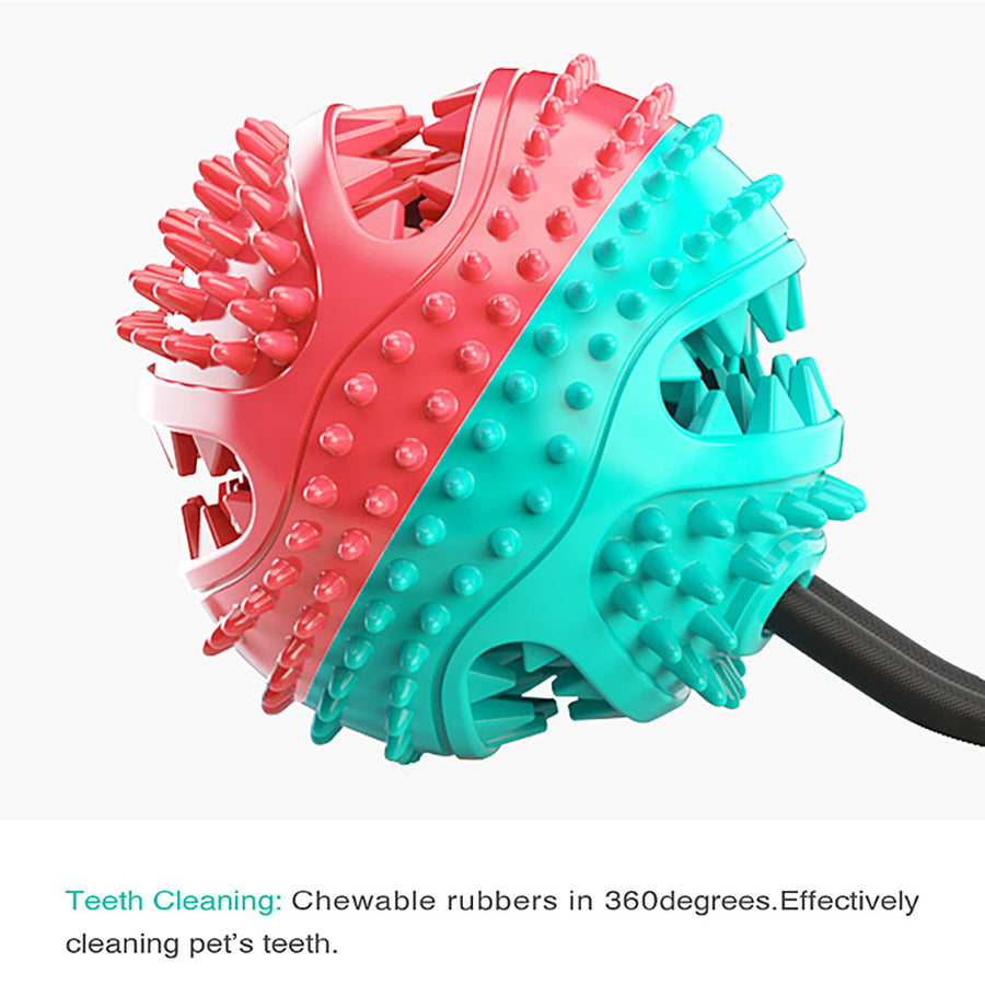Interactive Rubber Balls Dog Chew Toys