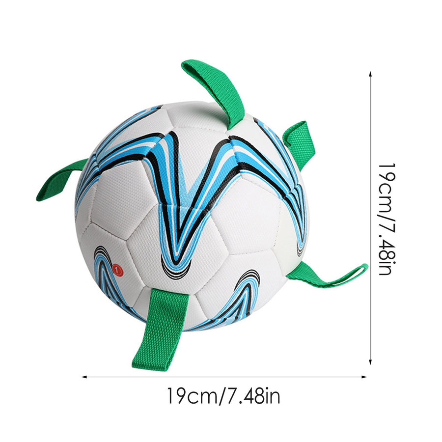 Interactive Outdoor Dog Toy Soccer Ball