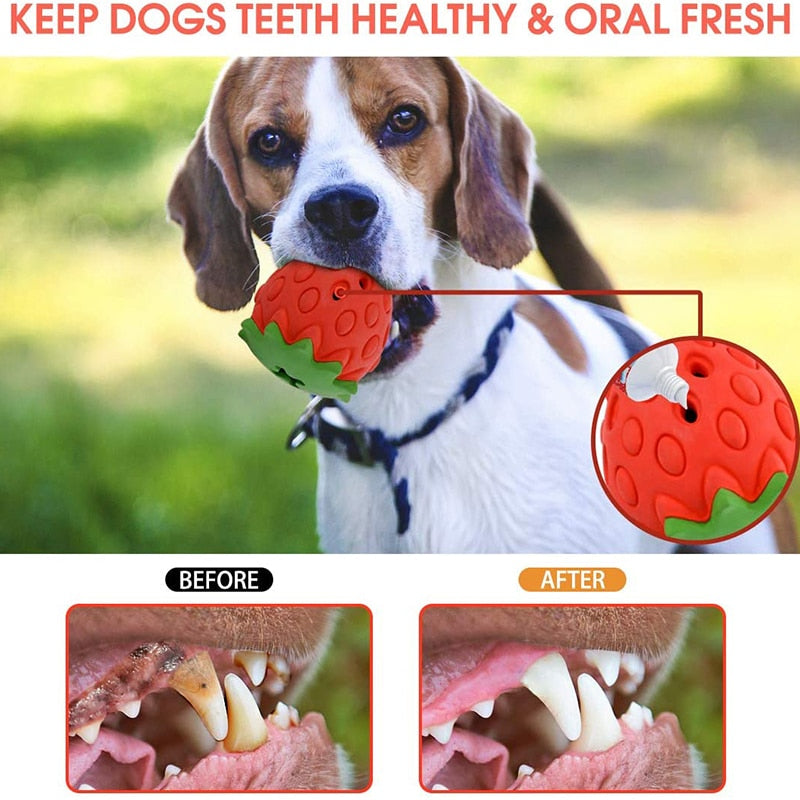 Natural Rubber Strawberry Dog Chew Toy