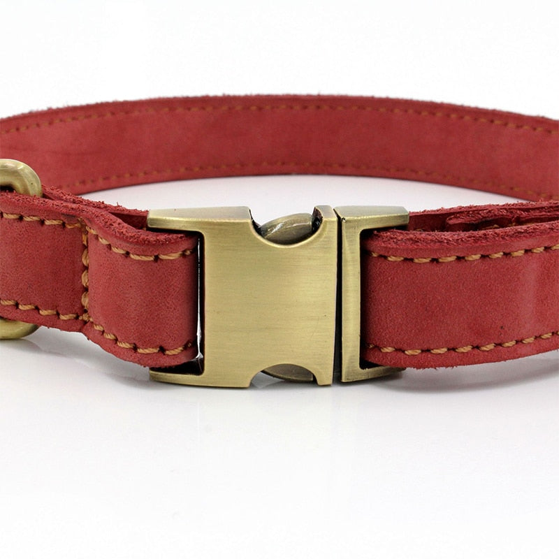 Genuine Leather Martingale Dog Collar