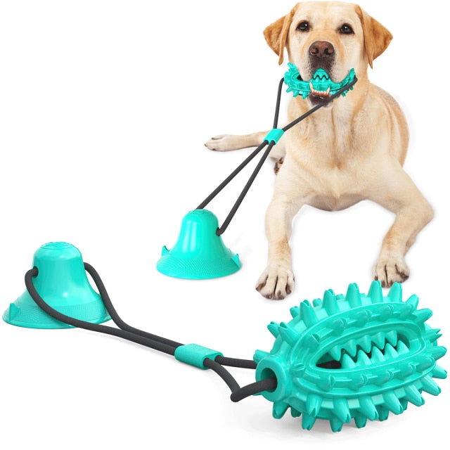 Interactive Elastic Ropes Chewy Dog Toy