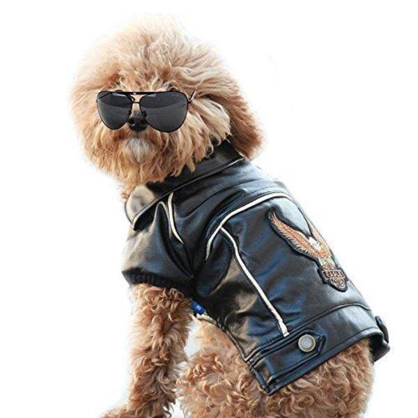 Leather Cool Dogs Motorcycle Jacket - Bark ‘n’ Paws