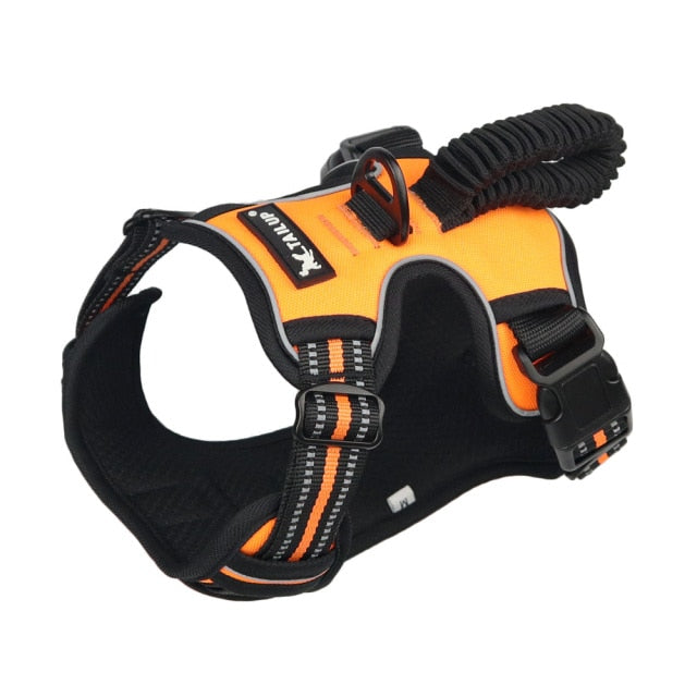 Oxford Dog Harness With Elastic Handle