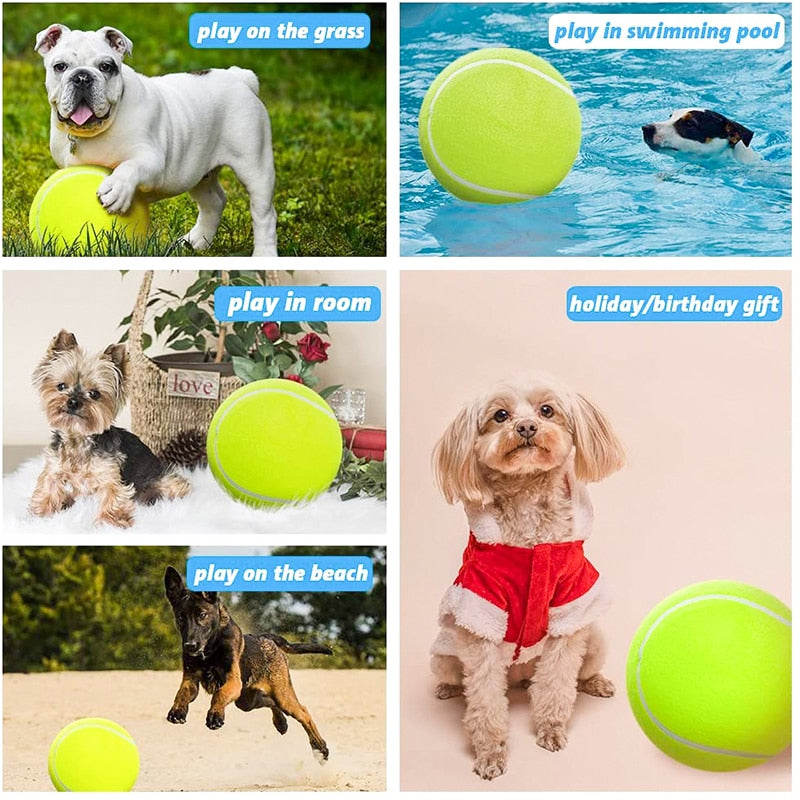 Inflatable Big Tennis Ball Dog Toy
