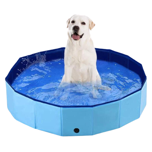 Outdoor Dog Swimming Pool