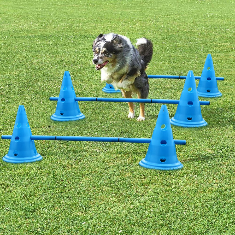 3 Set Dog Hurdle Training Cones