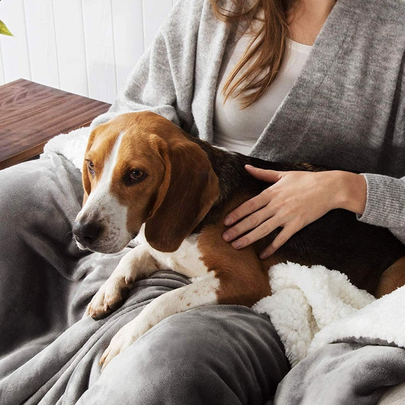 Cozy Reversible Dog Blanket