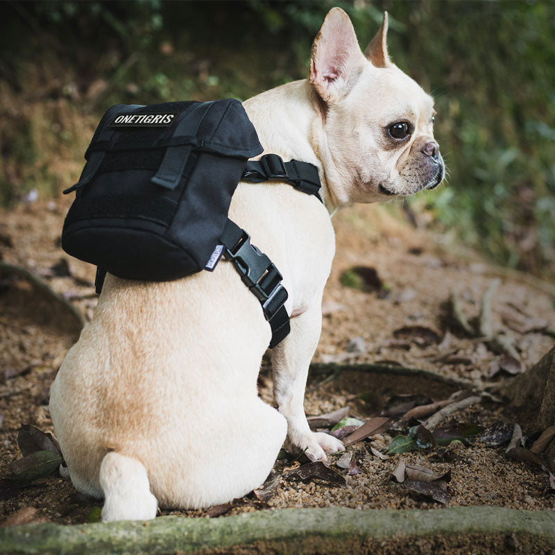 Eureka K9 Small Dog Outdoor Backpack
