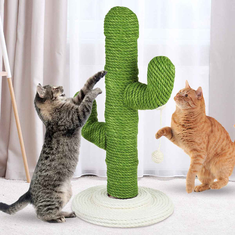 Cactus Cat Scratcher With Ball