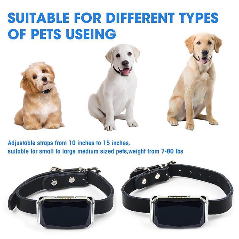 GPS Smart Waterproof Pet Collar