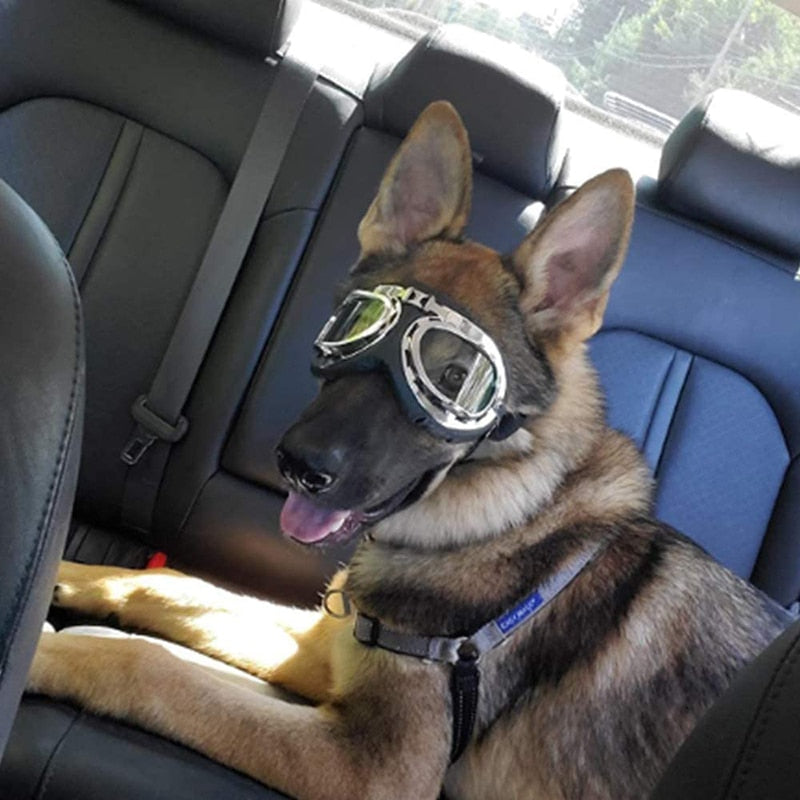 Dustproof Elastic Dog Goggles