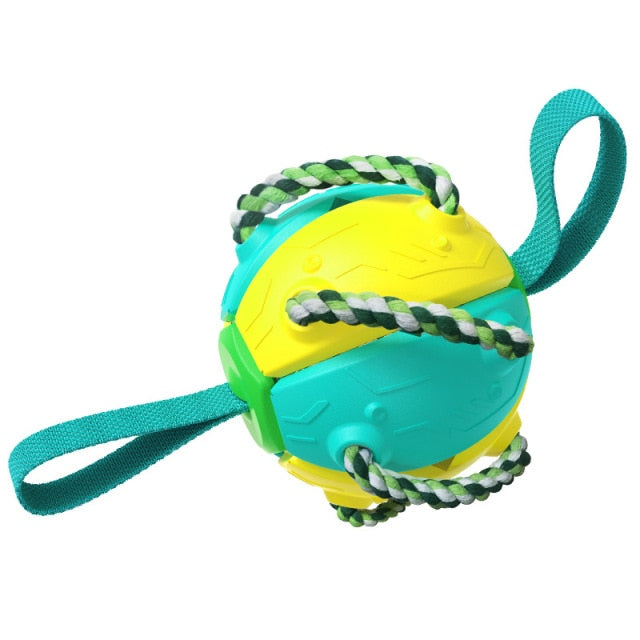 Interactive Frisbee Football Dog Toy
