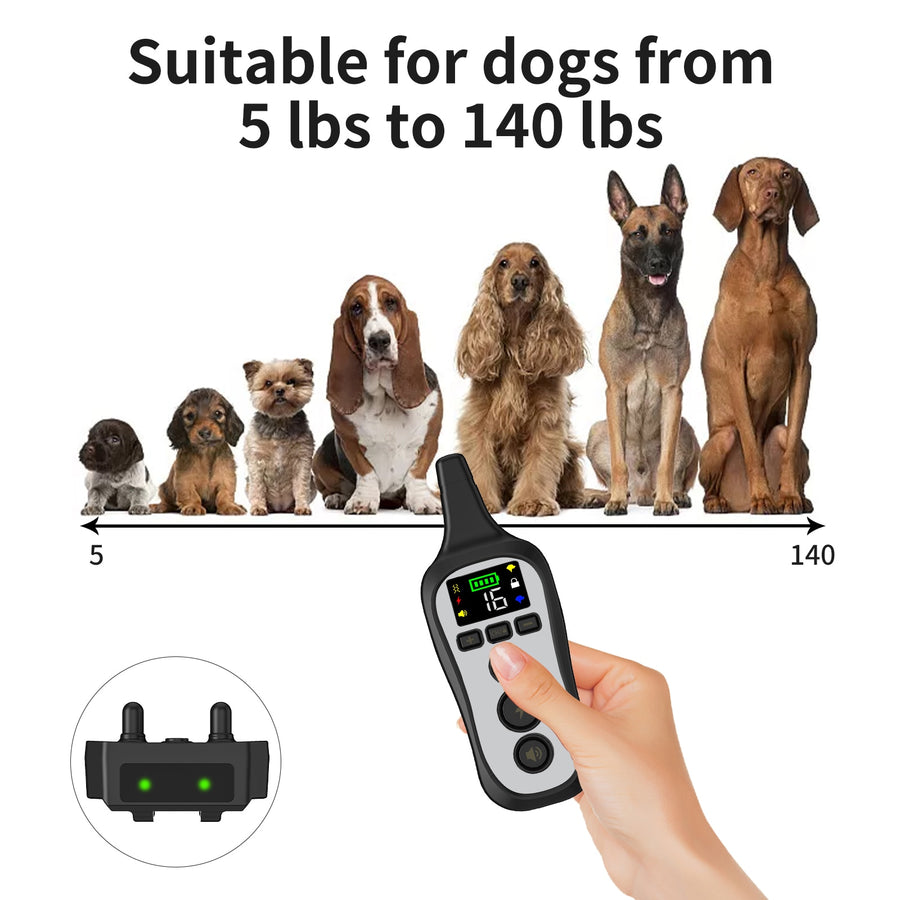 Premium 800M Voice Mode Dog Training Collar