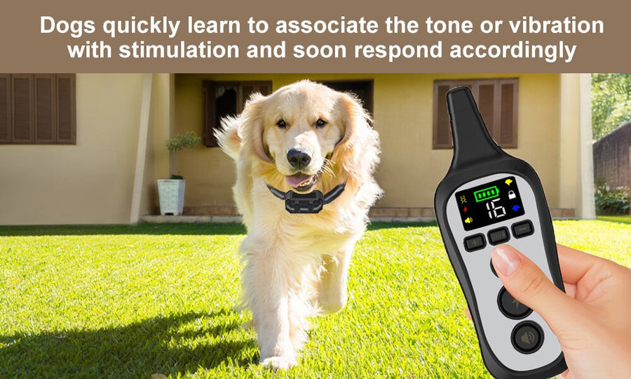 Premium 800M Voice Mode Dog Training Collar